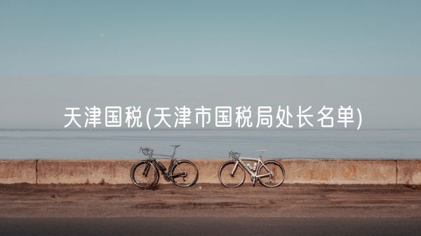 天津国税(天津市国税局处长名单)(图1)