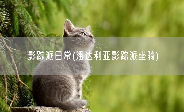 影踪派日常(潘达利亚影踪派坐骑)(图1)