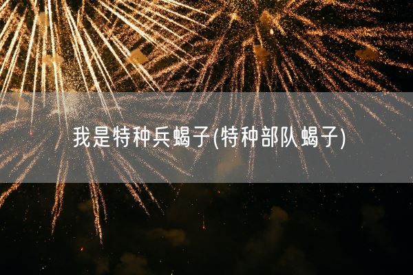 我是特种兵蝎子(特种部队蝎子)(图1)