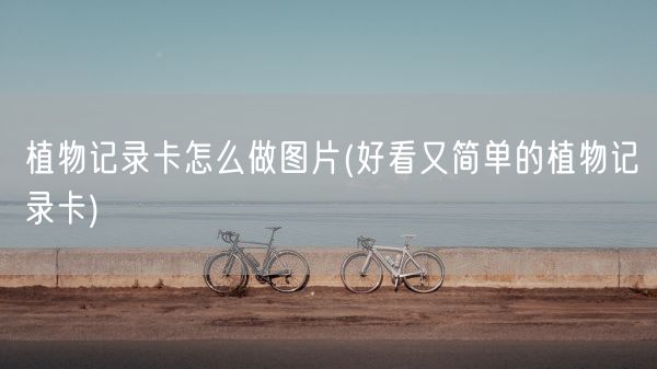 植物记录卡怎么做图片(好看又简单的植物记录卡)(图1)