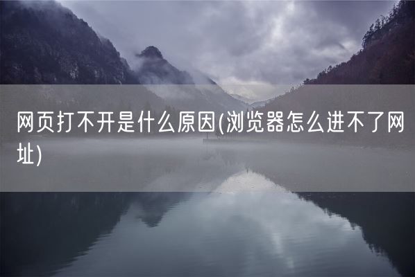 网页打不开是什么原因(浏览器怎么进不了网址)(图1) 网页打不开是什么原因(浏览器怎么进不了网址)(图1)