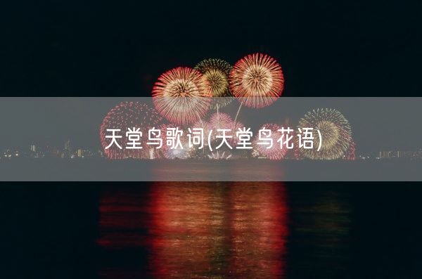 天堂鸟歌词(天堂鸟花语)(图1)