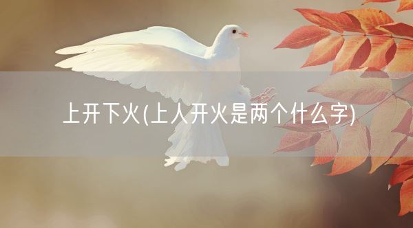上开下火(上人开火是两个什么字)(图1)