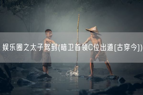 娱乐圈之太子驾到(暗卫首领C位出道[古穿今])(图1)
