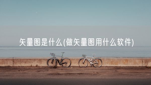 矢量图是什么(做矢量图用什么软件)(图1)