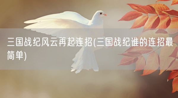 三国战纪风云再起连招(三国战纪谁的连招最简单)(图1)