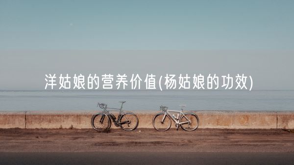 洋姑娘的营养价值(杨姑娘的功效)(图1)