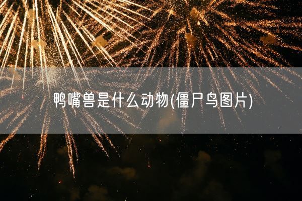 鸭嘴兽是什么动物(僵尸鸟图片)(图1)