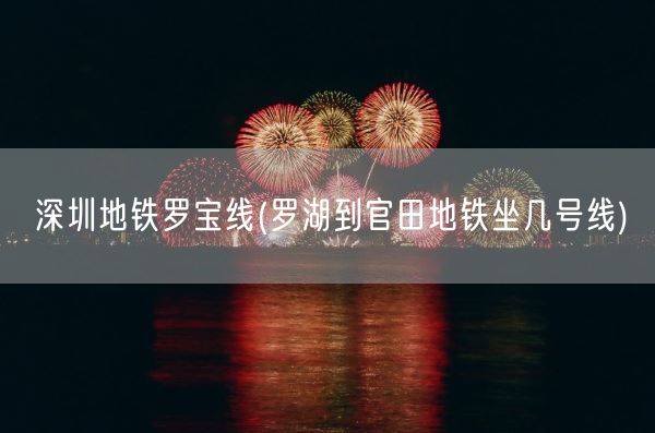 深圳地铁罗宝线(罗湖到官田地铁坐几号线)(图1)