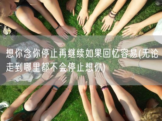 想你念你停止再继续如果回忆容易(无论走到哪里都不会停止想你)(图1)