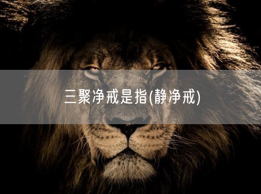 三聚净戒是指(静净戒)(图1)