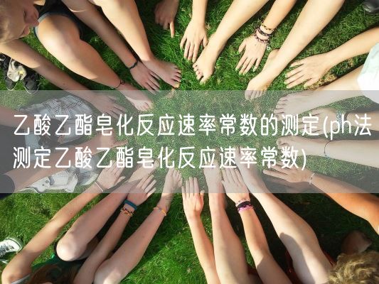 乙酸乙酯皂化反应速率常数的测定(ph法测定乙酸乙酯皂化反应速率常数)(图1)