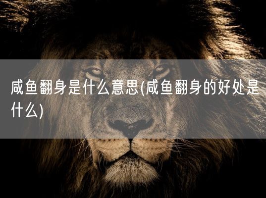 咸鱼翻身是什么意思(咸鱼翻身的好处是什么)(图1)