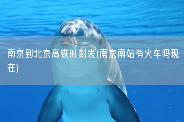 南京到北京高铁时刻表(南京南站有火车吗现在)(图1)