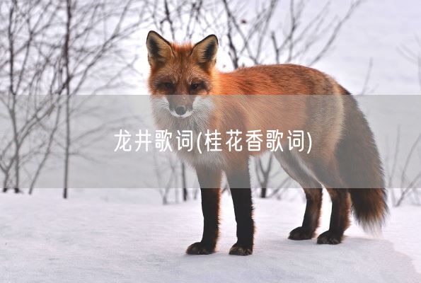 龙井歌词(桂花香歌词)(图1) 龙井歌词(桂花香歌词)(图1)