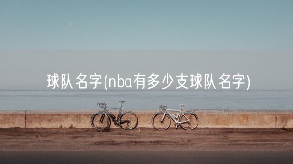 球队名字(nba有多少支球队名字)(图1)