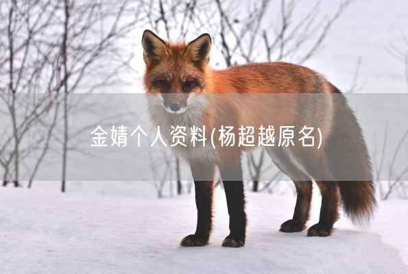 金婧个人资料(杨超越原名)(图1) 金婧个人资料(杨超越原名)(图1)