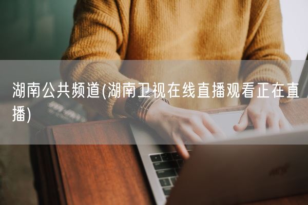 湖南公共频道(湖南卫视在线直播观看正在直播)(图1)