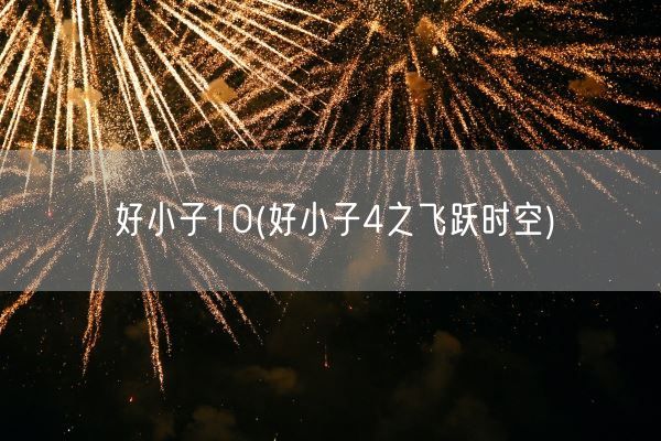 好小子10(好小子4之飞跃时空)(图1) 好小子10(好小子4之飞跃时空)(图1)