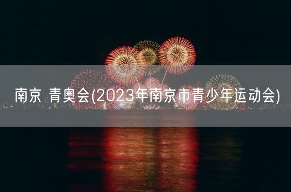 南京 青奥会(2023年南京市青少年运动会)(图1)