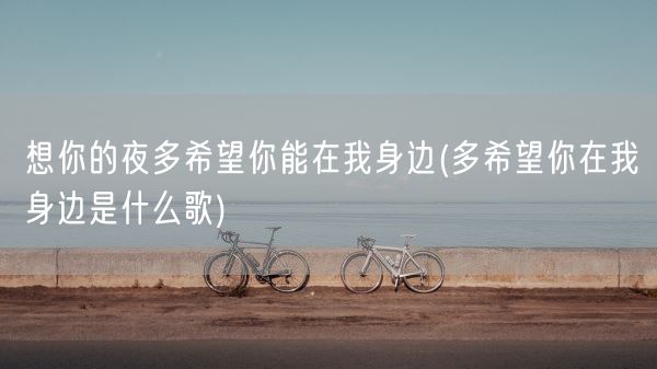 想你的夜多希望你能在我身边(多希望你在我身边是什么歌)(图1)