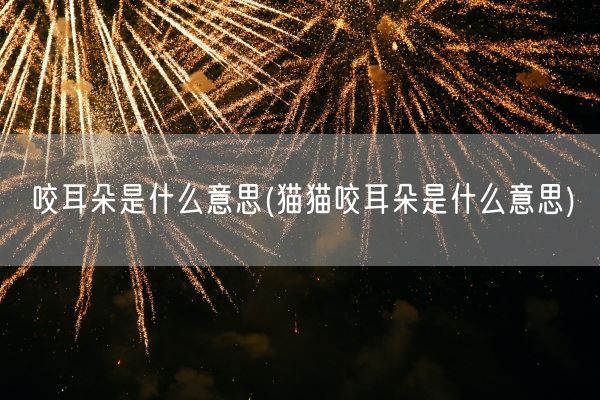 咬耳朵是什么意思(猫猫咬耳朵是什么意思)(图1)