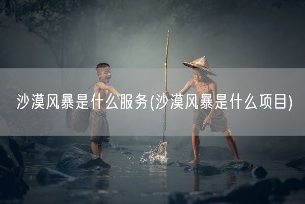 沙漠风暴是什么服务(沙漠风暴是什么项目)(图1)