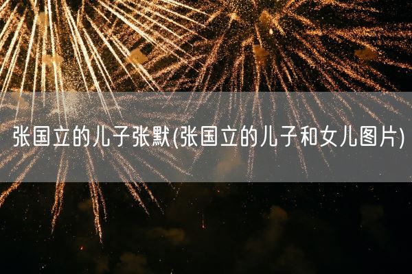 张国立的儿子张默(张国立的儿子和女儿图片)(图1)