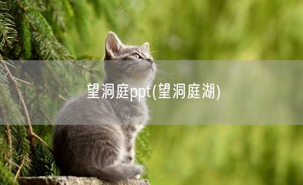 望洞庭ppt(望洞庭湖)(图1)