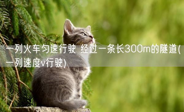 一列火车匀速行驶 经过一条长300m的隧道(一列速度v行驶)(图1)