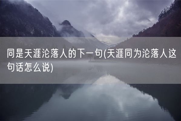 同是天涯沦落人的下一句(天涯同为沦落人这句话怎么说)(图1)