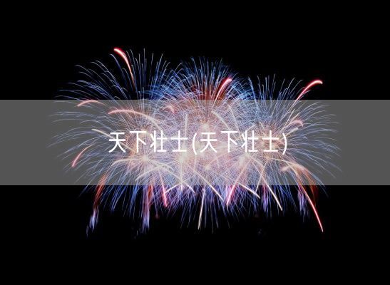 天下壮士(天下壮士)(图1)