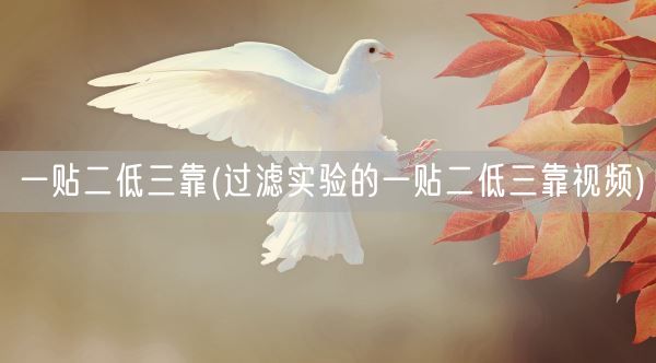 一贴二低三靠(过滤实验的一贴二低三靠视频)(图1)