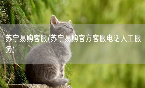 苏宁易购客服(苏宁易购官方客服电话人工服务)(图1)