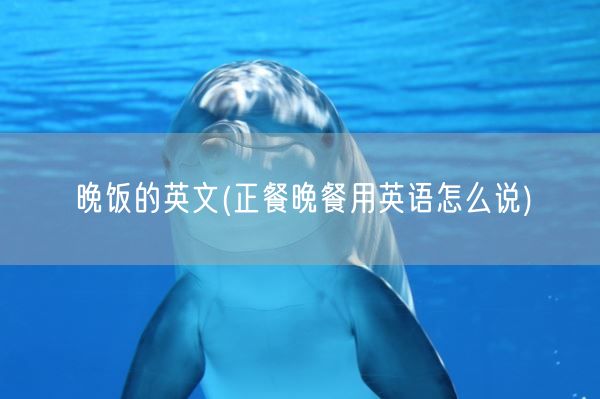 晚饭的英文(正餐晚餐用英语怎么说)(图1) 晚饭的英文(正餐晚餐用英语怎么说)(图1)
