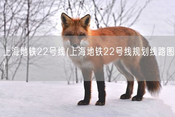 上海地铁22号线(上海地铁22号线规划线路图)(图1)