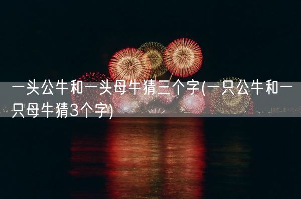 一头公牛和一头母牛猜三个字(一只公牛和一只母牛猜3个字)(图1)