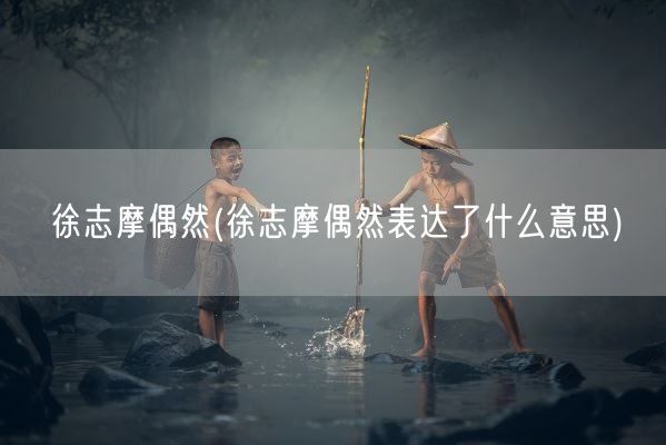 徐志摩偶然(徐志摩偶然表达了什么意思)(图1) 徐志摩偶然(徐志摩偶然表达了什么意思)(图1)