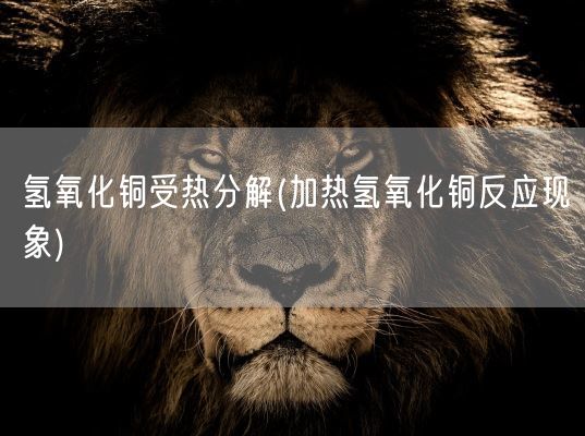 氢氧化铜受热分解(加热氢氧化铜反应现象)(图1)