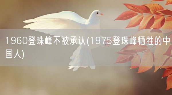 1960登珠峰不被承认(1975登珠峰牺牲的中国人)(图1) 1960登珠峰不被承认(1975登珠峰牺牲的中国人)(图1)