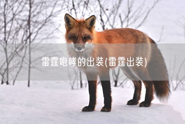 雷霆咆哮的出装(雷霆出装)(图1) 雷霆咆哮的出装(雷霆出装)(图1)