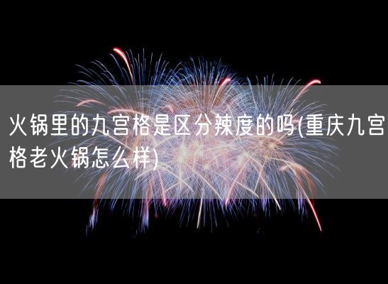 火锅里的九宫格是区分辣度的吗(重庆九宫格老火锅怎么样)(图1)