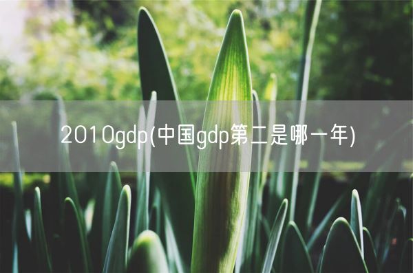2010gdp(中国gdp第二是哪一年)(图1) 2010gdp(中国gdp第二是哪一年)(图1)