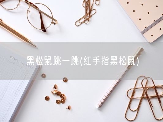 黑松鼠跳一跳(红手指黑松鼠)(图1)