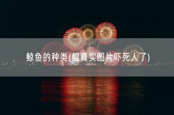 鲸鱼的种类(鲲真实图片吓死人了)(图1)