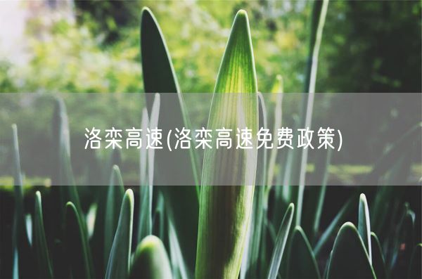 洛栾高速(洛栾高速免费政策)(图1)
