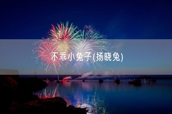 不乖小兔子(扬晓兔)(图1)