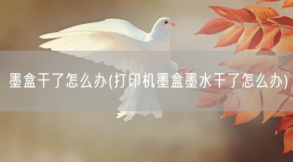 墨盒干了怎么办(打印机墨盒墨水干了怎么办)(图1)