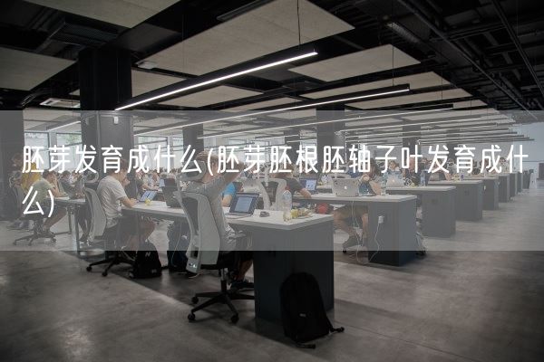 胚芽发育成什么(胚芽胚根胚轴子叶发育成什么)(图1) 胚芽发育成什么(胚芽胚根胚轴子叶发育成什么)(图1)