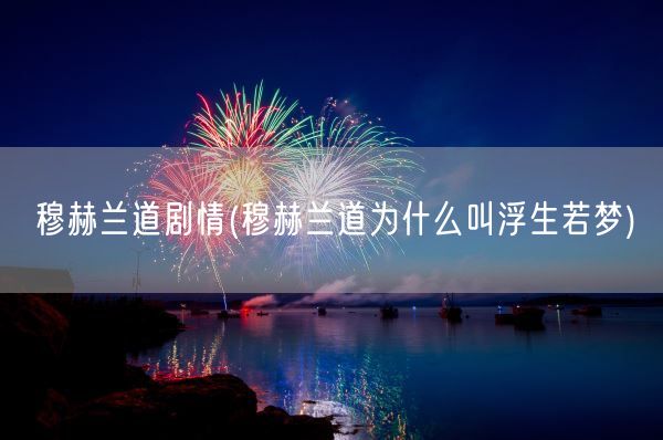 穆赫兰道剧情(穆赫兰道为什么叫浮生若梦)(图1)